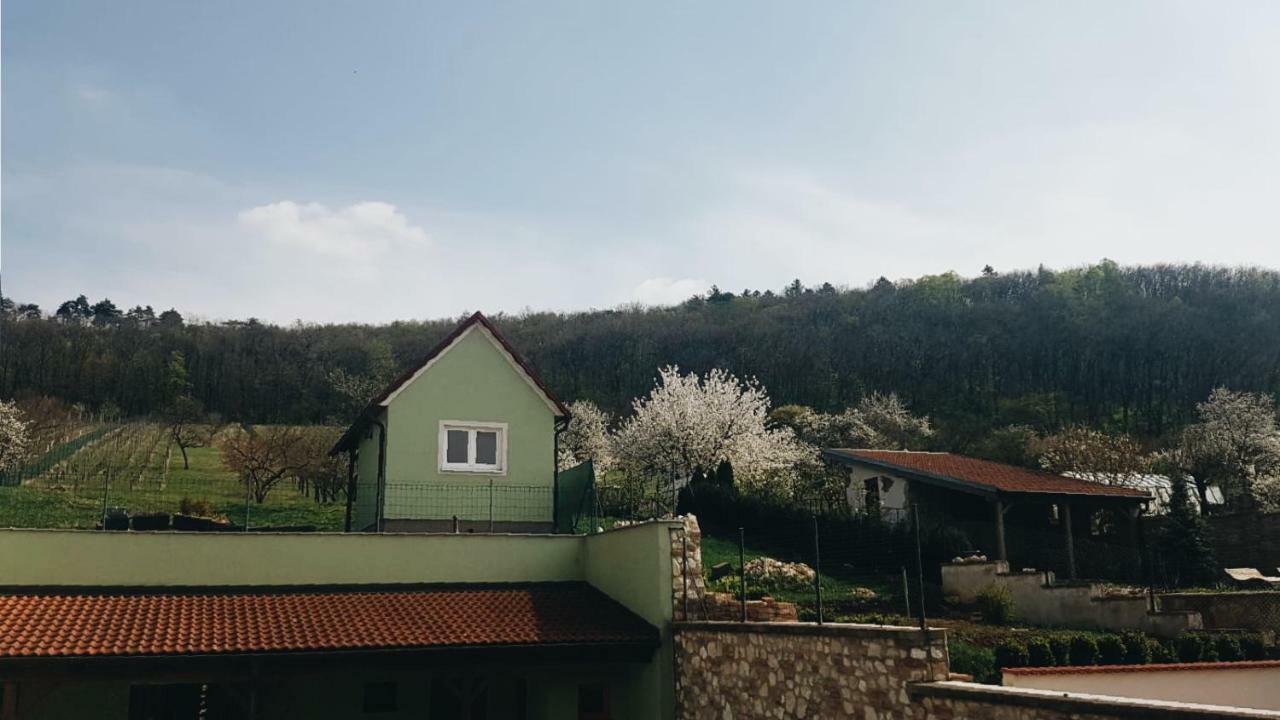 Pod Vinici Hotel Mikulov Kültér fotó